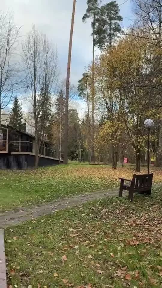 Дорожки для прогулок
